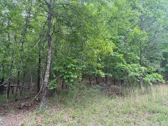 46 Campeon Way, Hot Springs Village, AR 71909 - #3