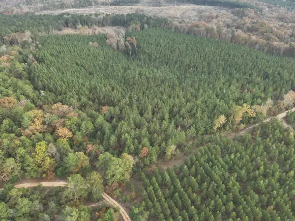 24-11-19 Ouachita Cr 75, Chidester, AR 71726