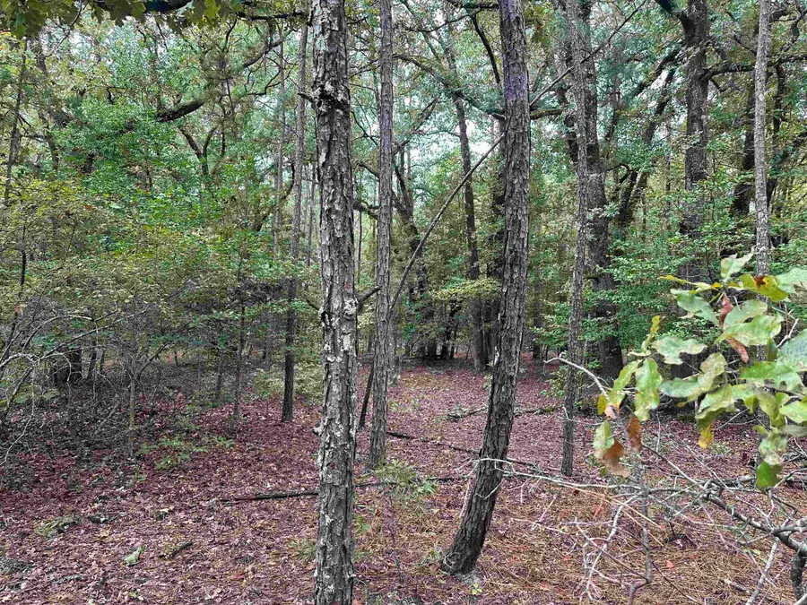 24-11-19 Ouachita Cr 75, Chidester, AR 71726 - #3