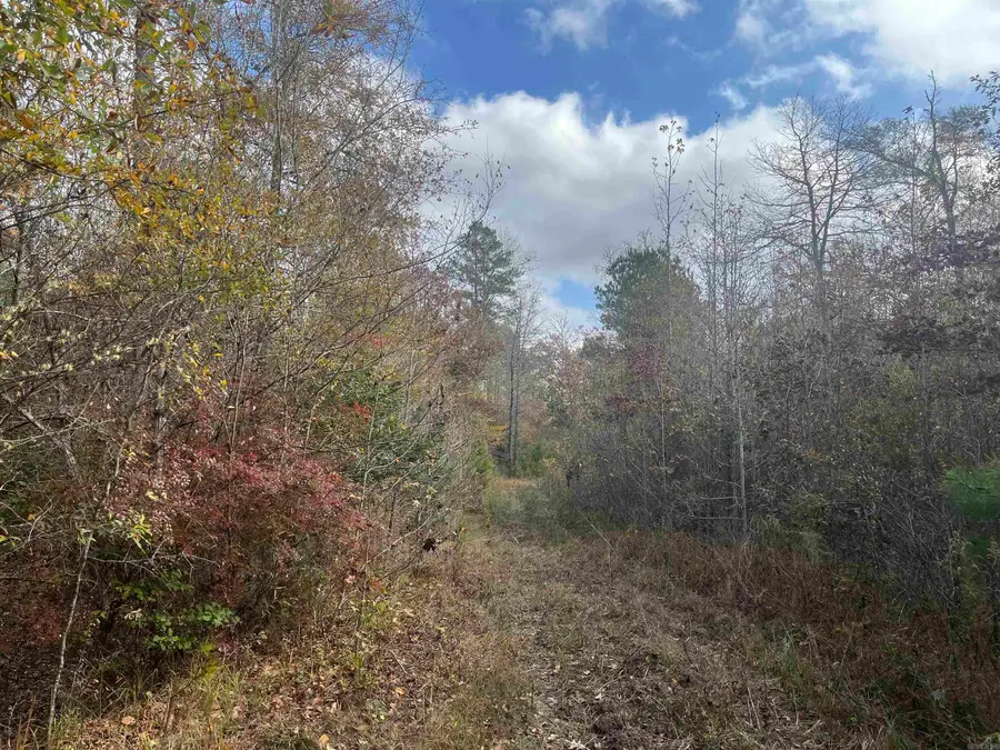 9-19-18 Salem Cemetery Rd, El Dorado, AR 71730 - #2