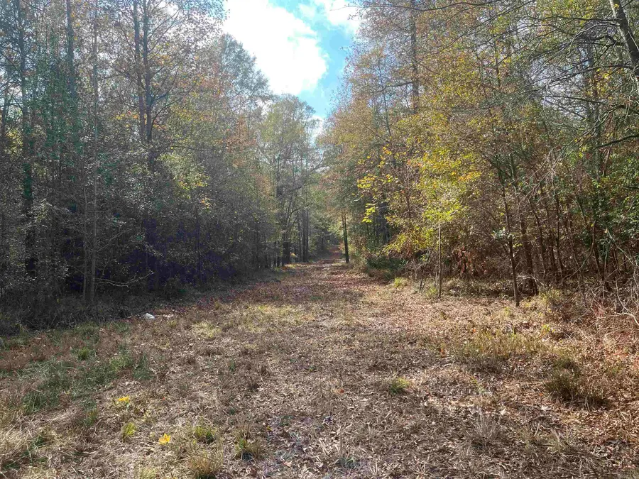 9-19-18 Salem Cemetery Rd, El Dorado, AR 71730 - #3