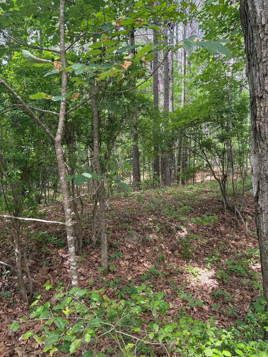 000 W Woodson Lateral, Hensley, AR 72065 - #3