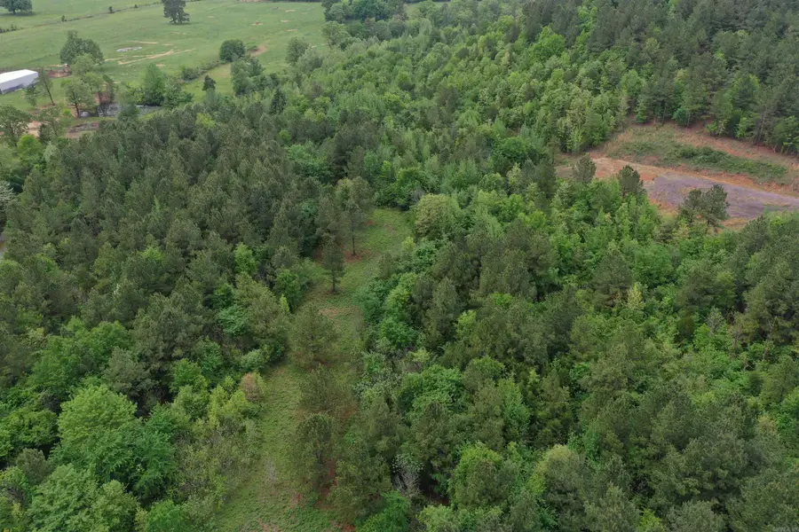 0000 Dooley Road, Parks, AR 72950 - #3