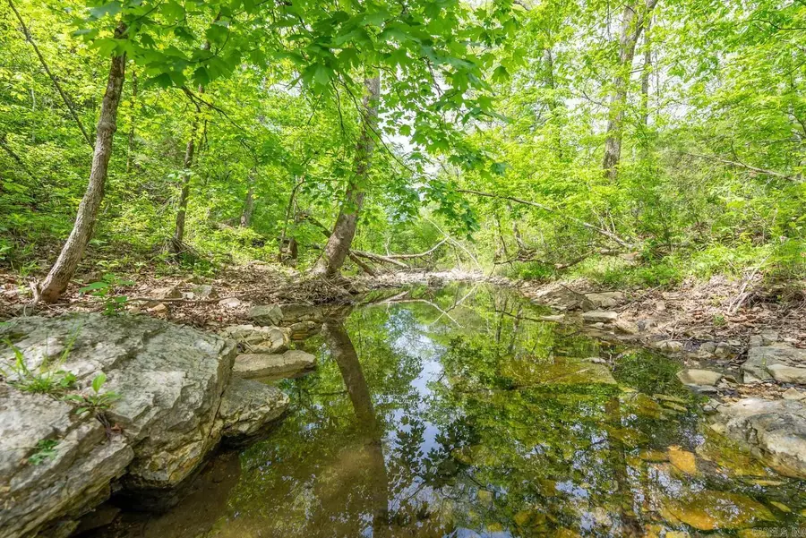 3804 Mc 6074 Road, Flippin, AR 72634 - #3