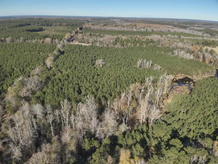 28-14-22 Nevada Cr 141, Rosston, AR 71858 - #3