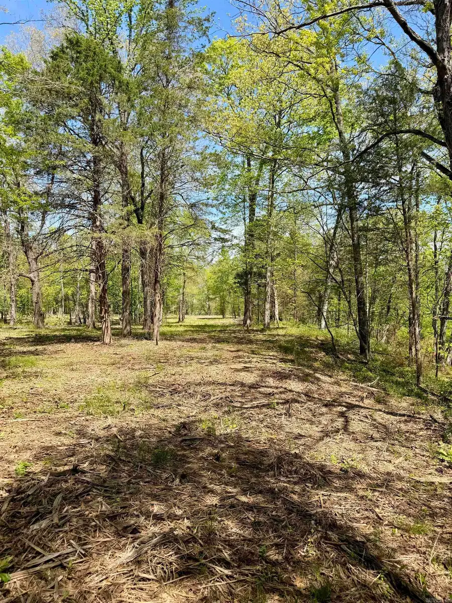 000 Treva Lane, Clarksville, AR 72830 - #2