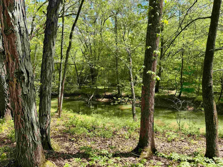 000 Treva Lane, Clarksville, AR 72830 - #3