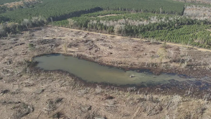 29-14-15 Calhoun Cr 3, Locust Bayou, AR 71744 - #2