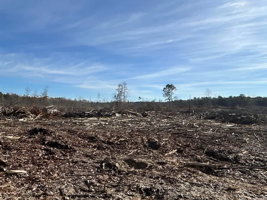 29-14-15 Calhoun Cr 3, Locust Bayou, AR 71744 - #3