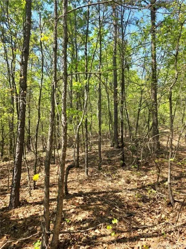 Fsr 1471, Clarksville, AR 72830 - #3