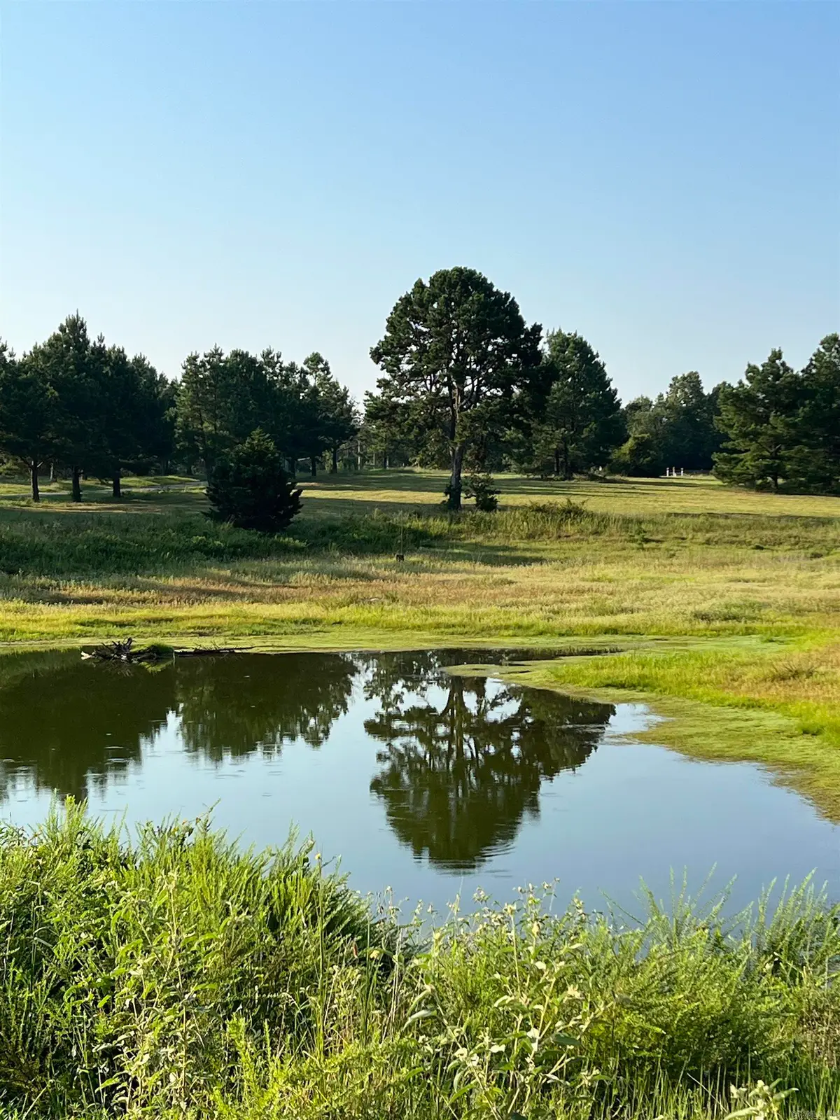 207 Spring Road, Searcy, AR 72143 - #1