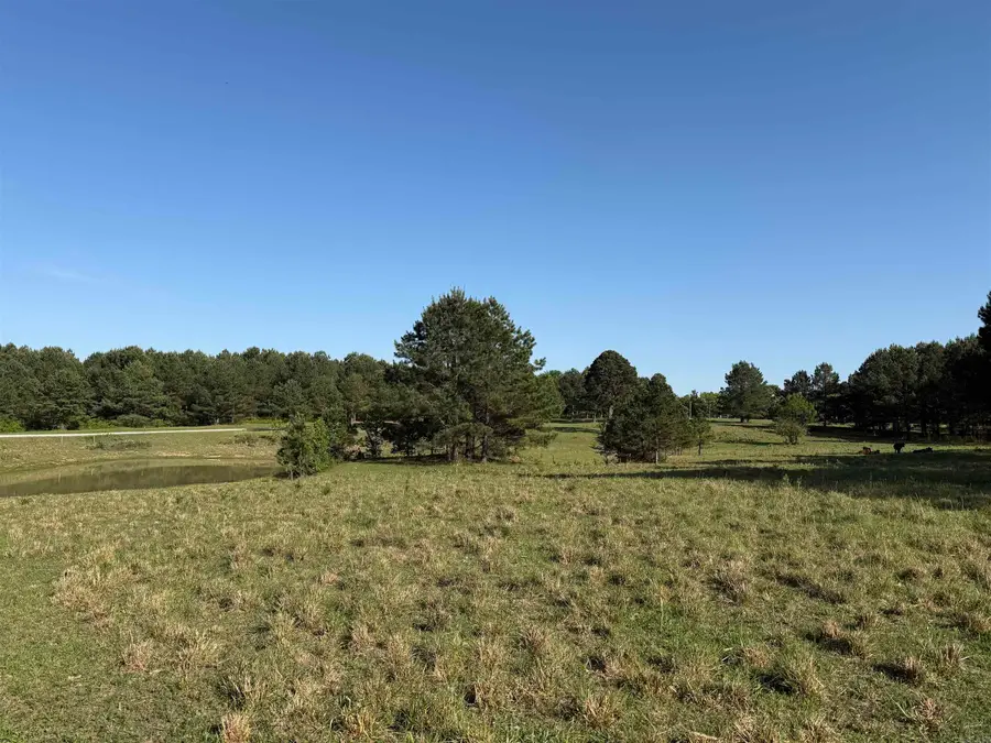 207 Spring Road, Searcy, AR 72143 - #3