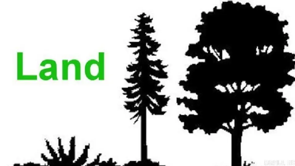 0 None, Sheridan, AR 72150 - #1