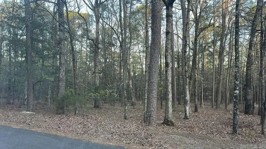 145 Lumberjack Ln, Fairfield Bay, AR 72088 - #2