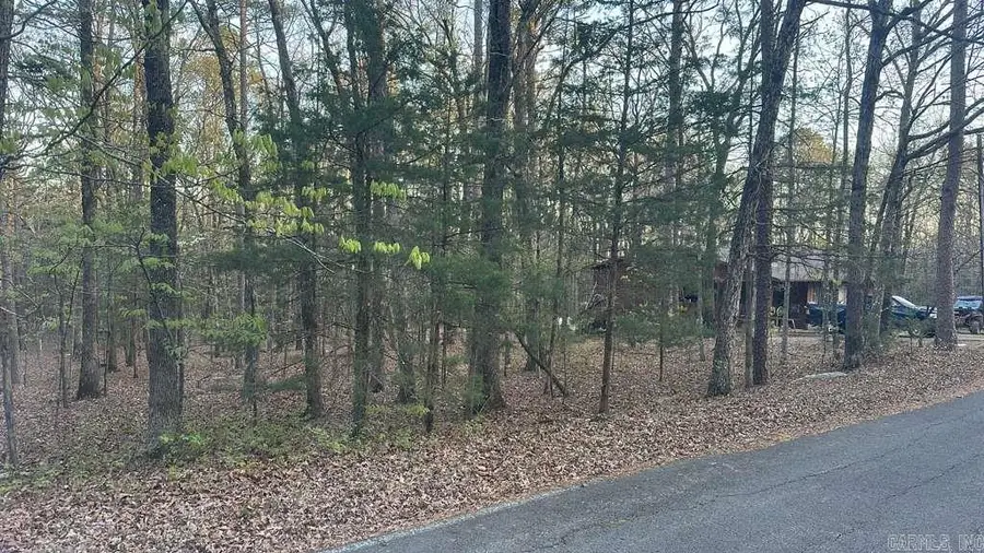 145 Lumberjack Ln, Fairfield Bay, AR 72088 - #3