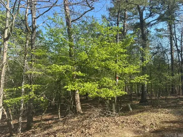 5 Saldana Way, Hot Springs Village, AR 71909