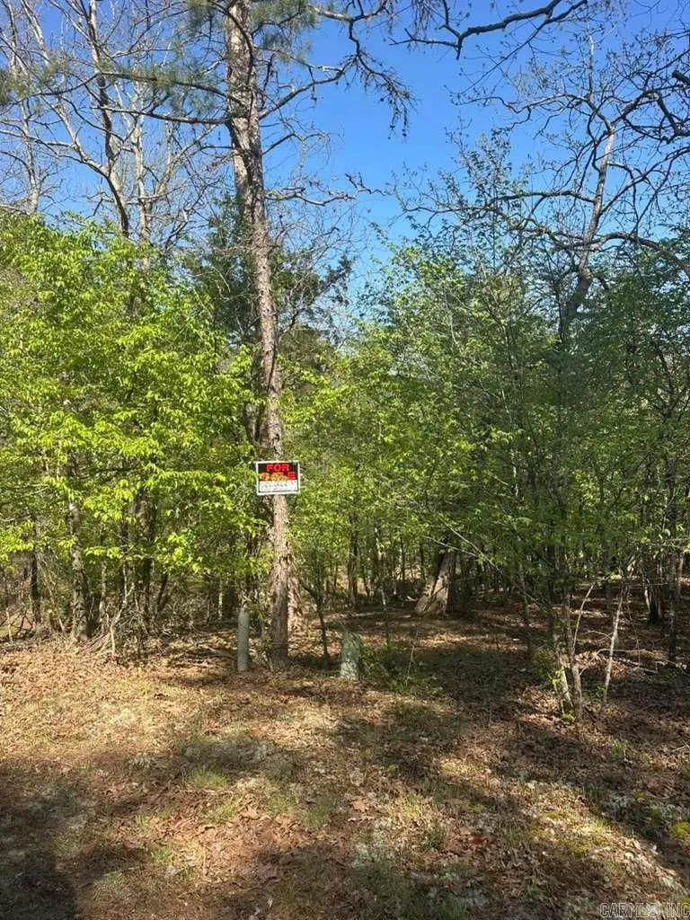 5 Saldana Way, Hot Springs Village, AR 71909 - #2