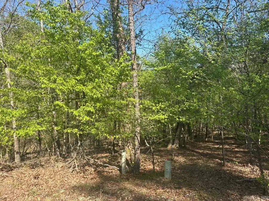 5 Saldana Way, Hot Springs Village, AR 71909 - #3