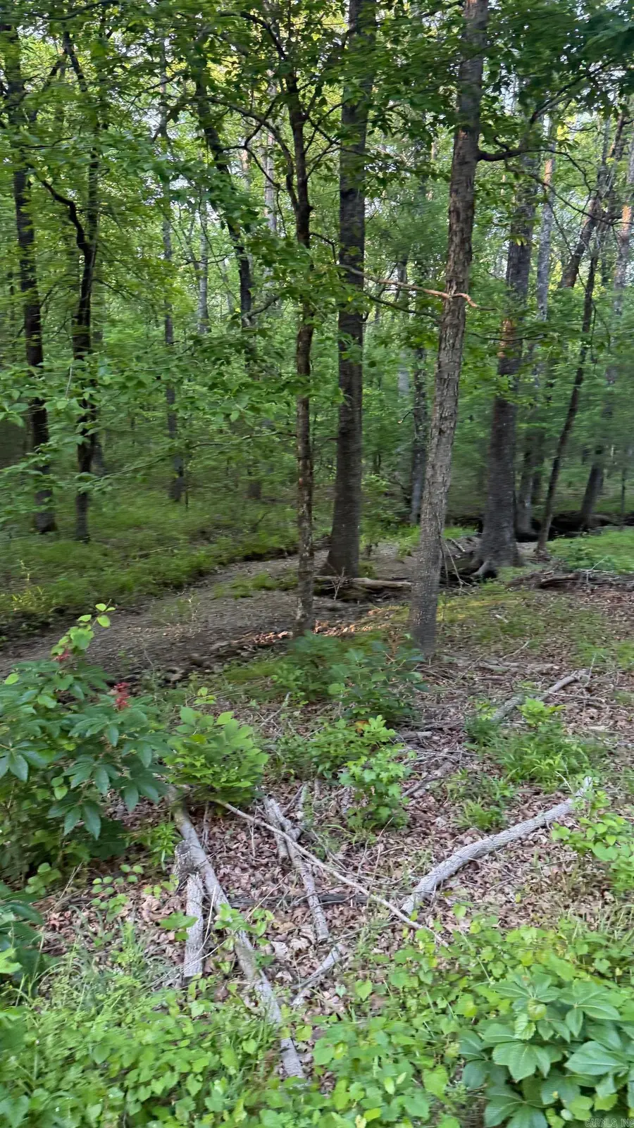 00 Robinson Road, Cabot, AR 72023 - #2