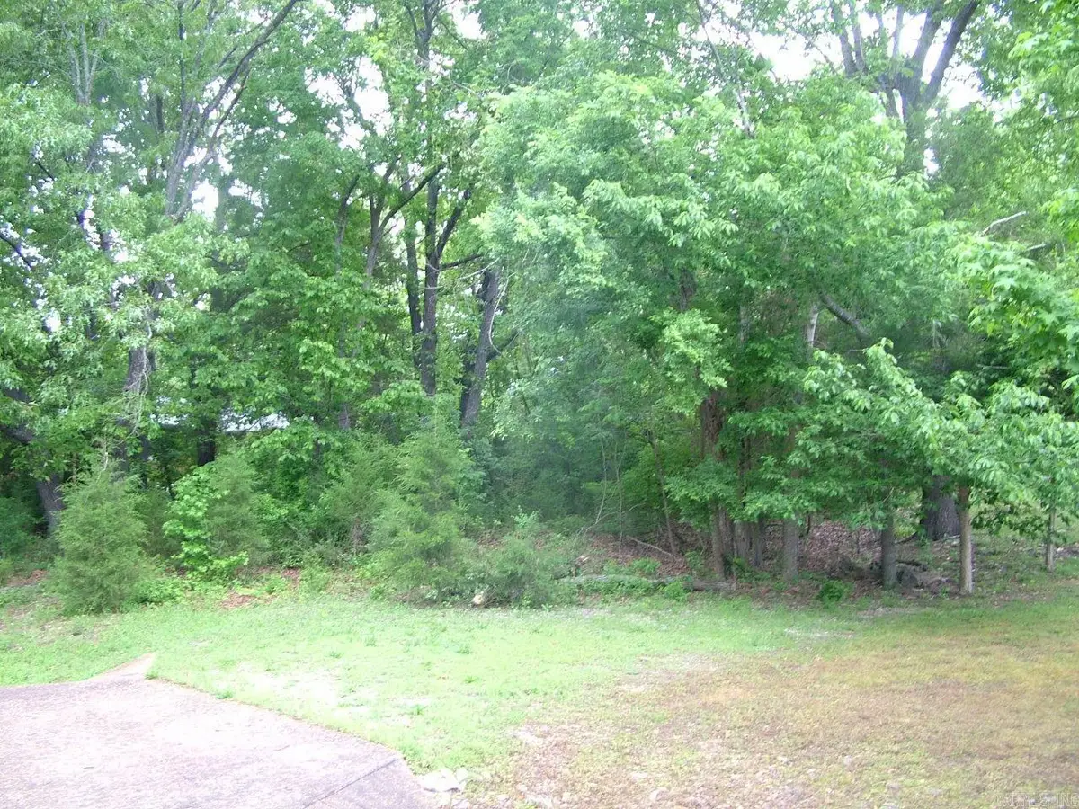 Lot 8 Franklin Avenue, Mountain Home, AR 72653 - #1