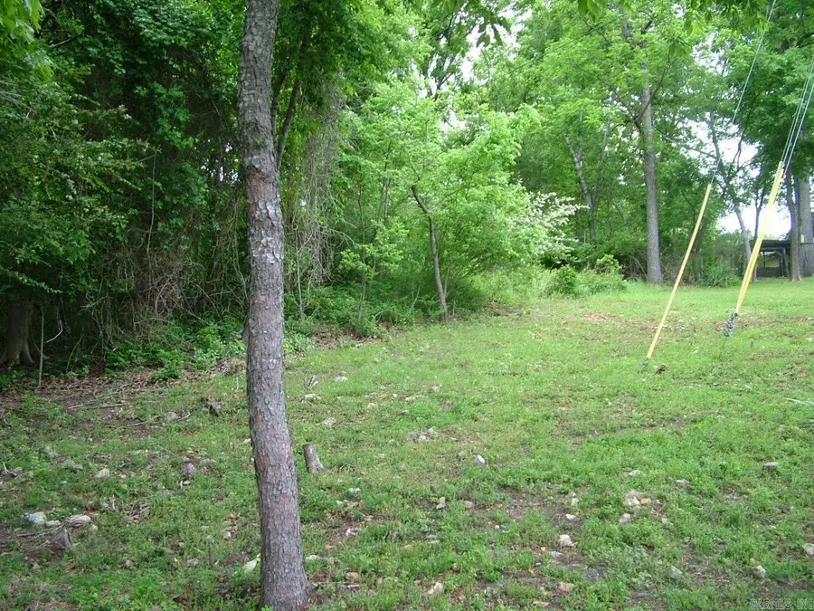 Lot 8 Franklin Avenue, Mountain Home, AR 72653 - #3