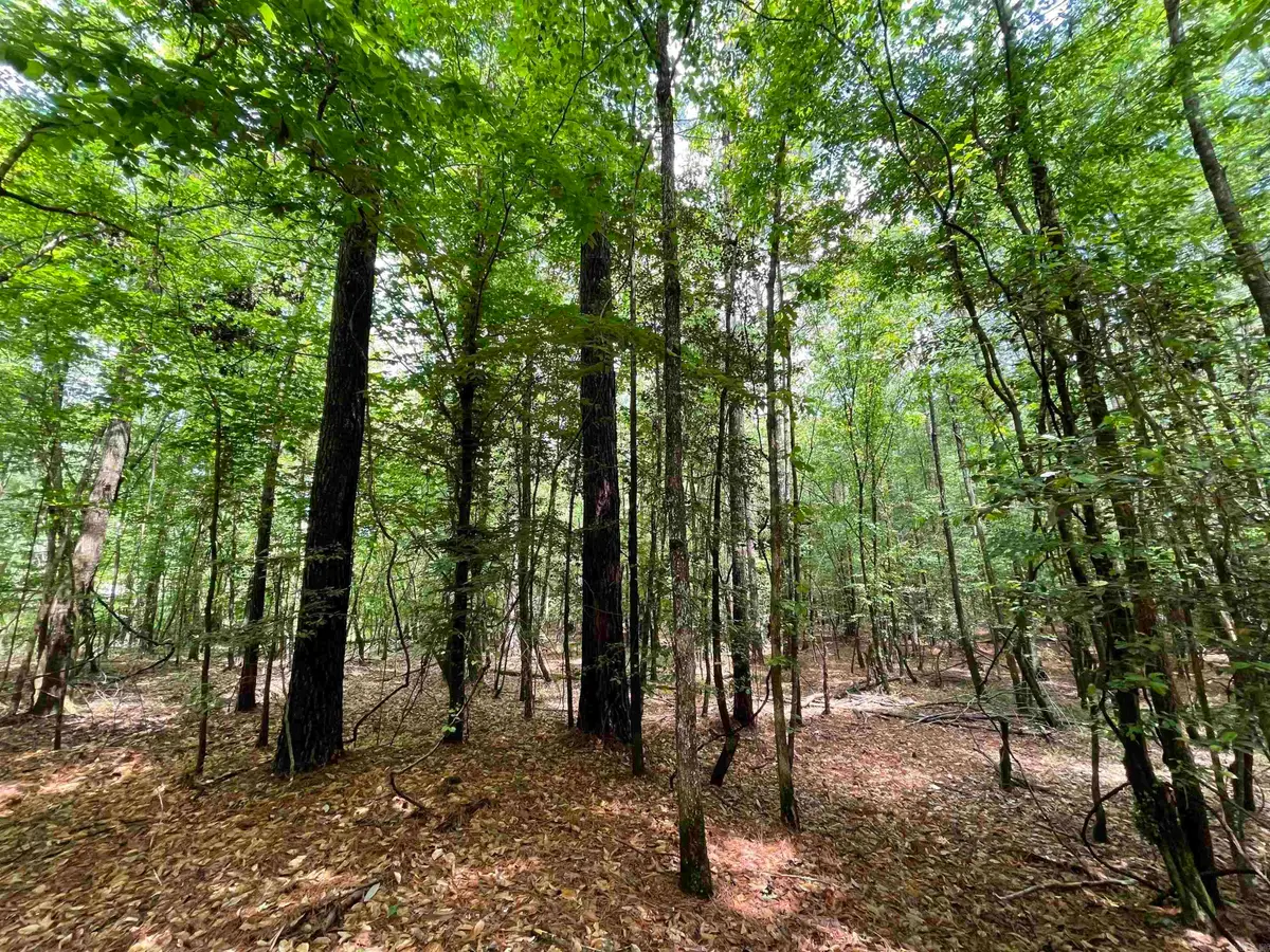 56.48 acres Ouachita 387, Camden, AR 71701 - #1