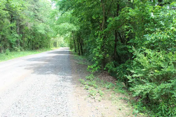 Address Withheld By Seller, Dardanelle, AR 72834