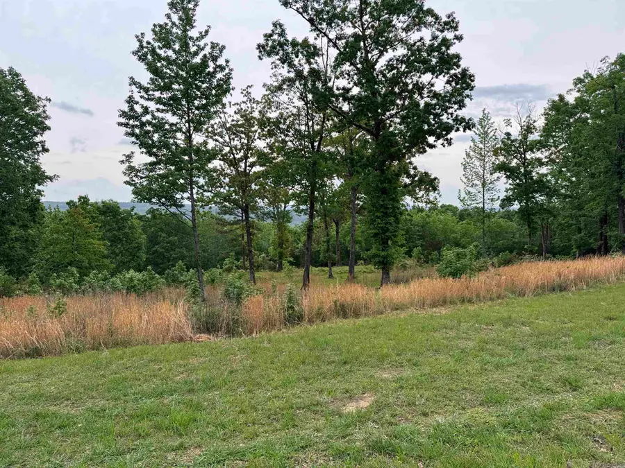 TRACT 1 Watersedge Drive, Edgemont, AR 72044 - #3