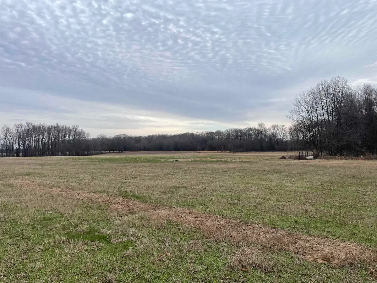 1170 Goff Road, Quitman, AR 72131 - #1