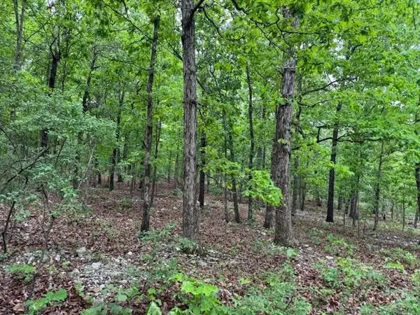 1329 Echowood Cir, Viola, AR 72583