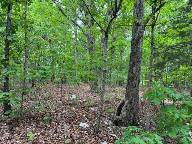 1329 Echowood Cir, Viola, AR 72583 - #3