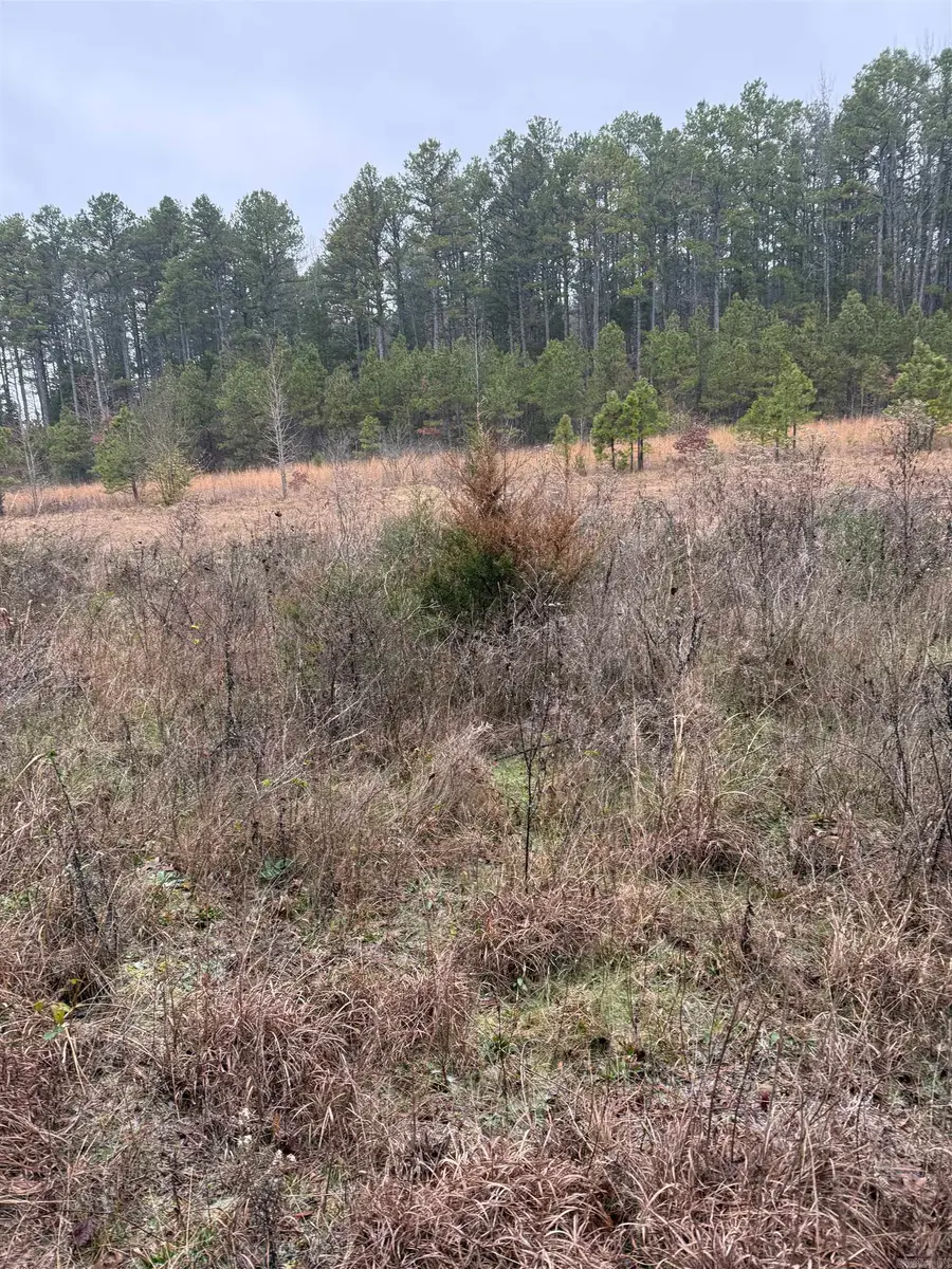 1413 Goff Road, Quitman, AR 72131 - #3