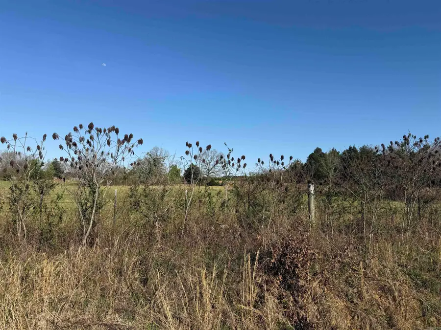 1455 Goff Road, Quitman, AR 72131 - #2