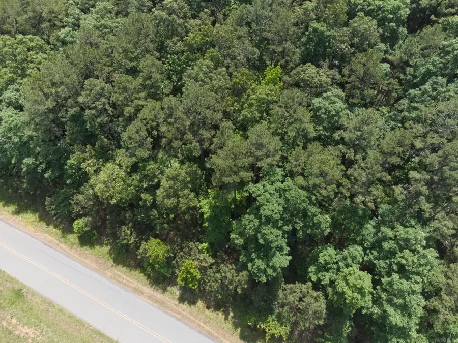 Lot 70 Lake Drive, Clinton, AR 72031 - #3