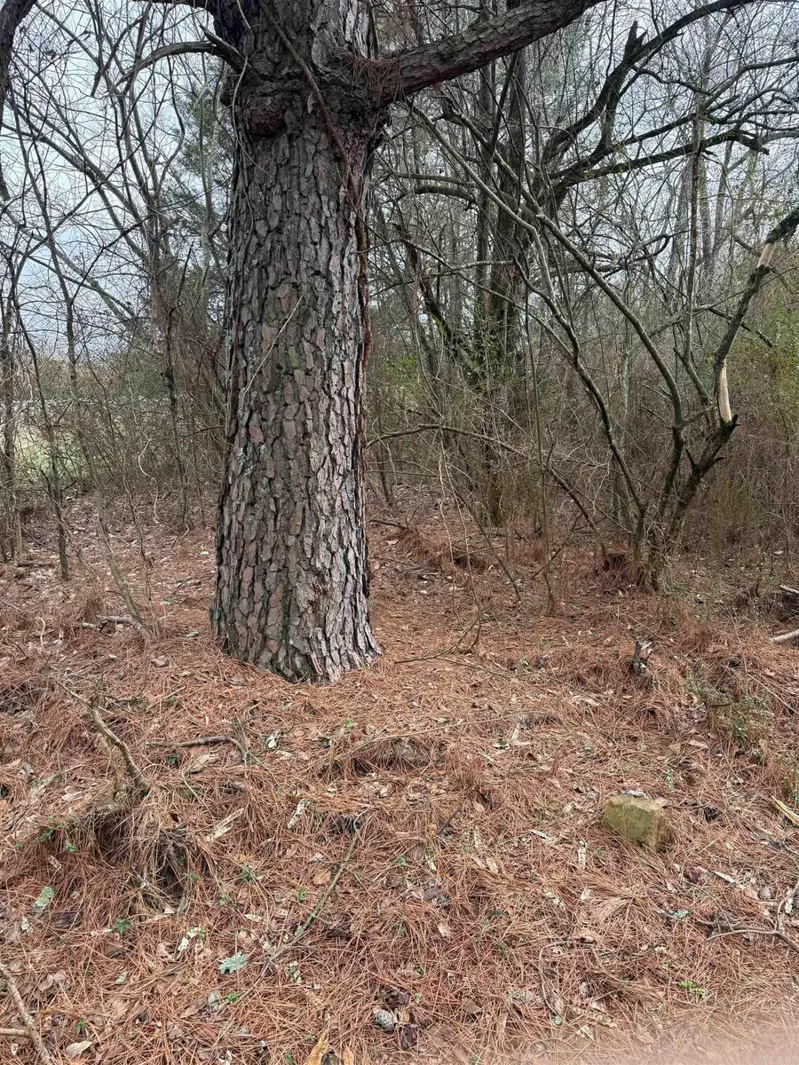 000 lot 21 Griffin Farm Road Road, Quitman, AR 72131 - #2