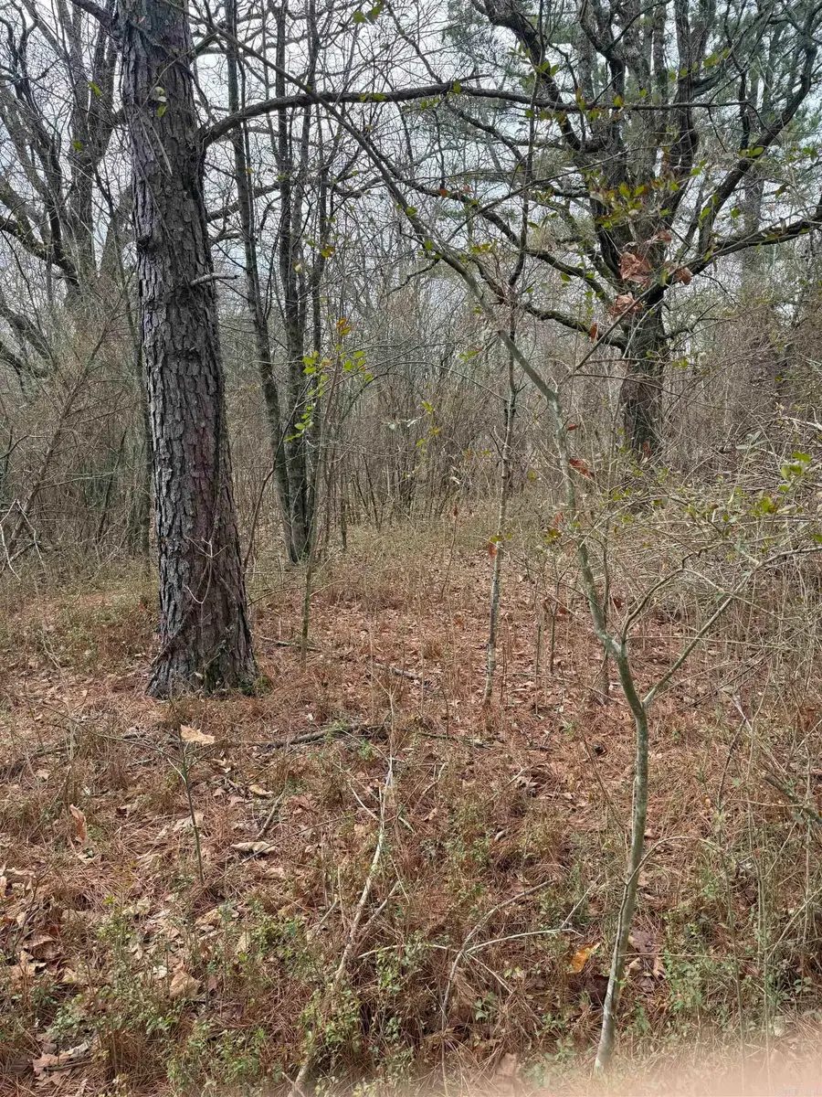 000 lot 21 Griffin Farm Road Road, Quitman, AR 72131 - #3