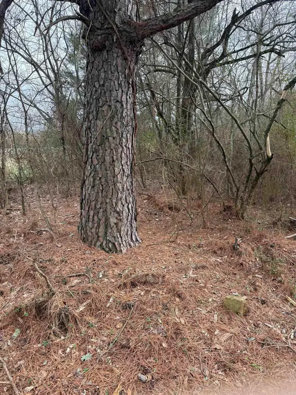 000 lot 22 Griffin Farm Road Road, Quitman, AR 72131