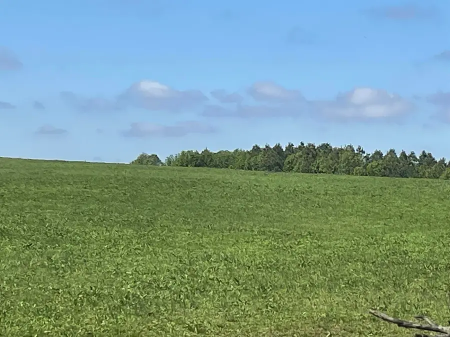 000 lot 24 Griffin Farm Rd Road, Quitman, AR 72131 - #2