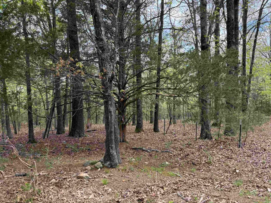 000 lot 25 Griffin Farm Road Road, Quitman, AR 72131 - #2