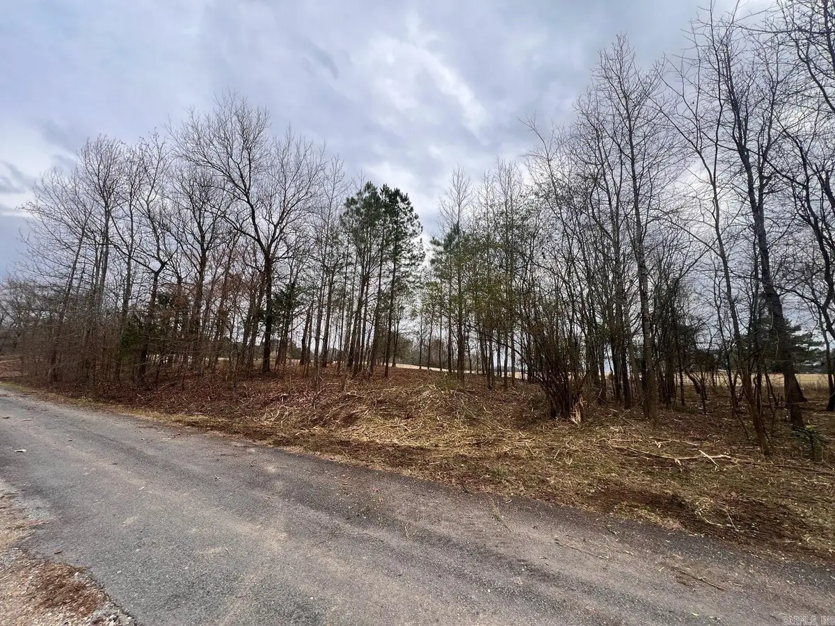 132 Firestone Drive, Hot Springs, AR 71913 - #1