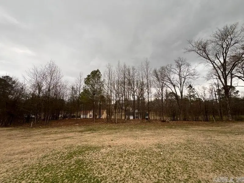 132 Firestone Drive, Hot Springs, AR 71913 - #3