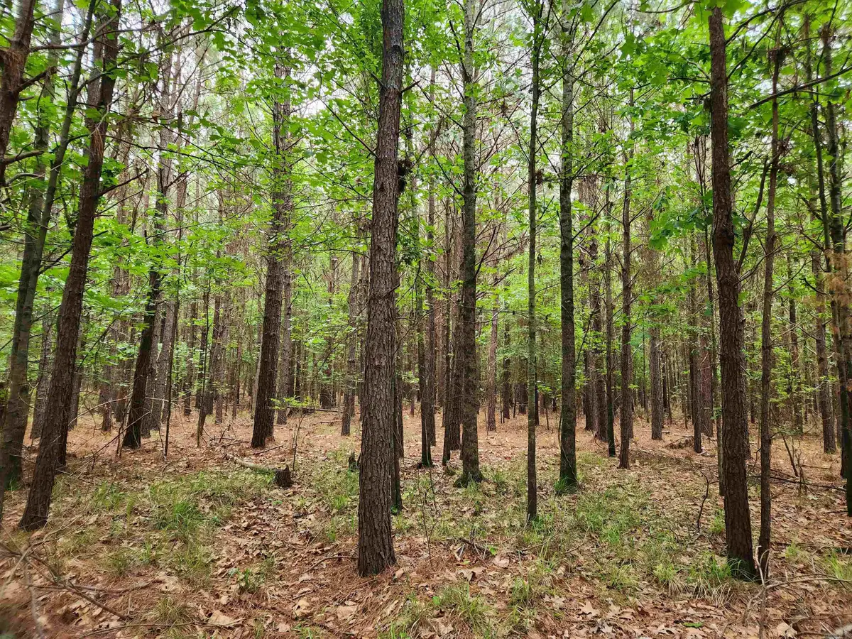 000 Sunset Street, Star City, AR 71667 - #1