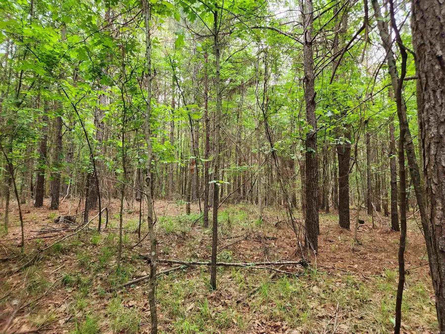 000 Sunset Street, Star City, AR 71667 - #2