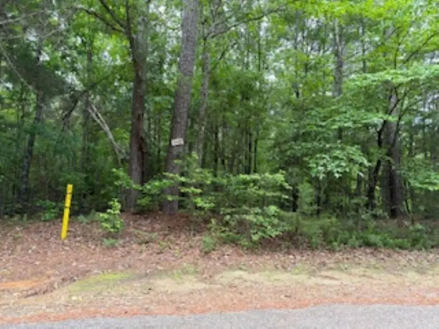 Lot 146 Pin Oak, Camden, AR 71701 - #2