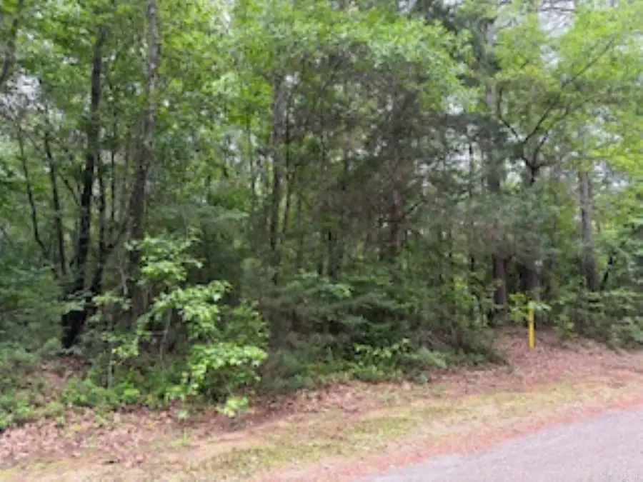 Lot 146 Pin Oak, Camden, AR 71701 - #3