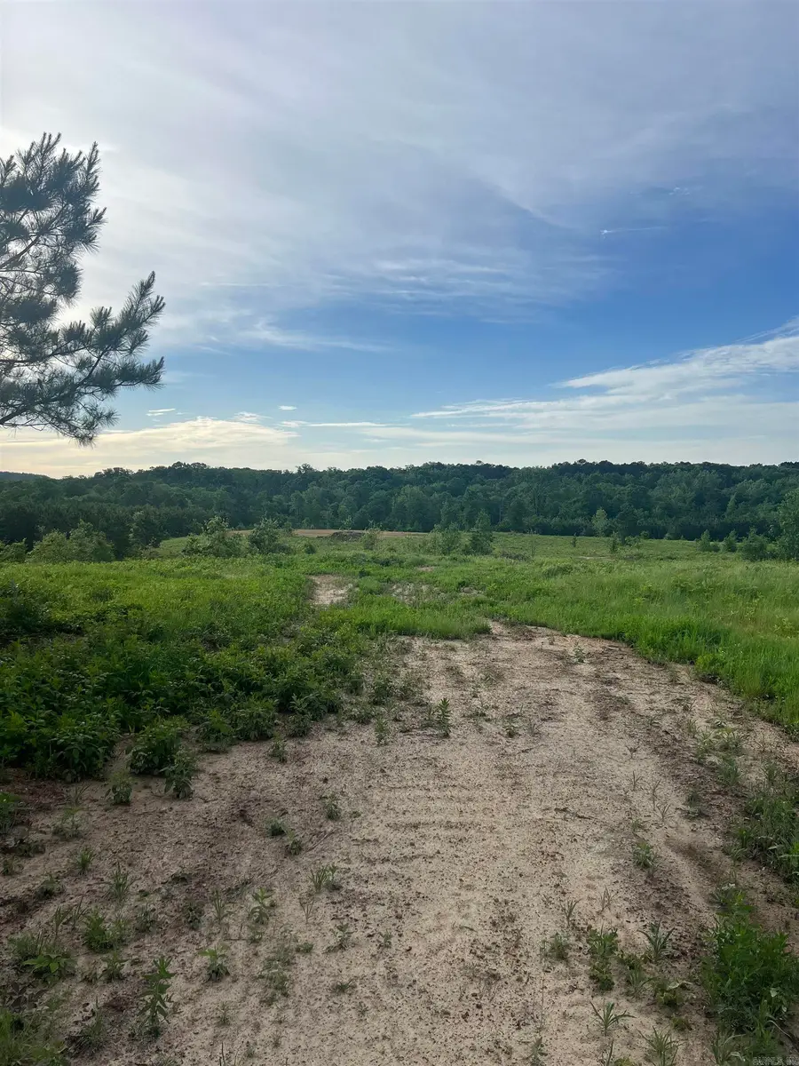 Address Withheld By Seller, Bonnerdale, AR 71933 - #2