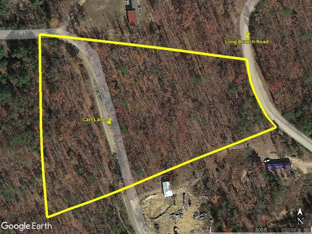 0000 Long Branch Lane, Bee Branch, AR 72013 - #1