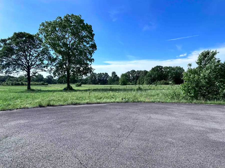 212 S Apple Tree Cove, Beebe, AR 72012 - #3