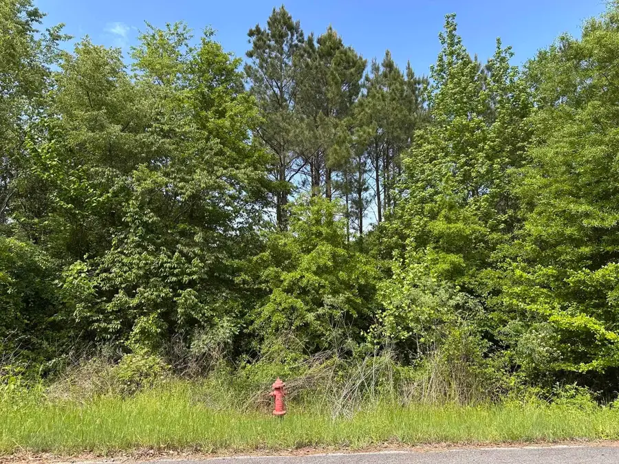 Address Withheld By Seller, Greenbrier, AR 72058 - #2