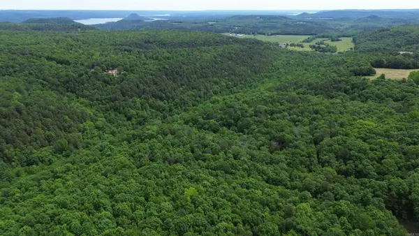 000 East Mountain Road, Bee Branch, AR 72013